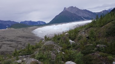 rando root glacier