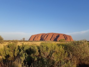 Uluru sous toutes ses coutures